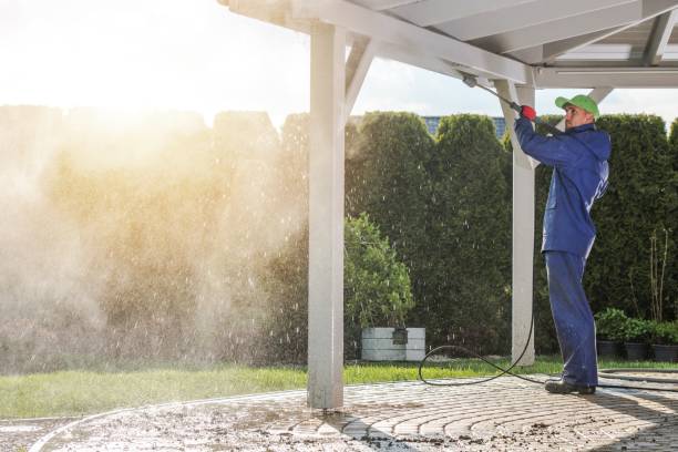 Best Gutter Cleaning  in South Highpoint, FL